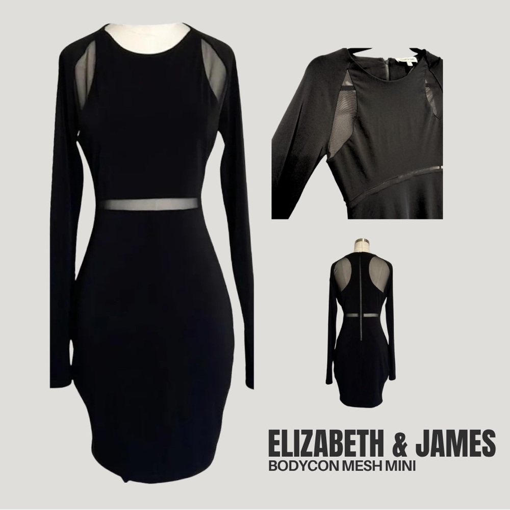 Elizabeth and James Black Mesh Long Sleeve Dress